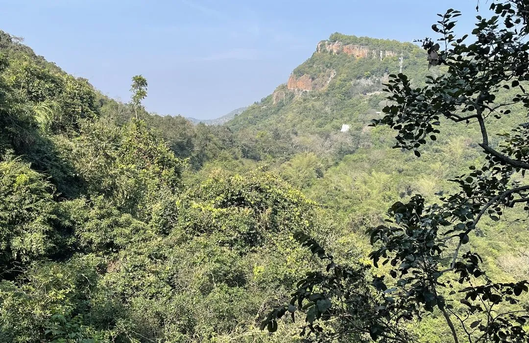 Sri Venkateswara National Park